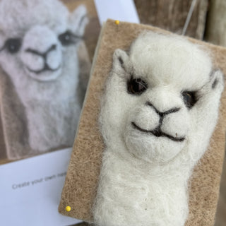 Friends & Fibre - I Felt an Alpaca