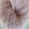 Asters