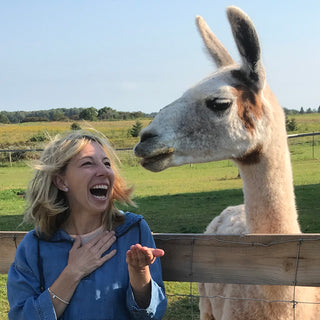a woman having fun feeding a llama