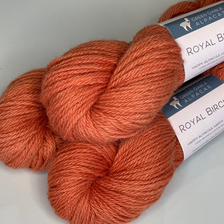 Royal Birch | Worsted Weight Yarn | Copper Coast