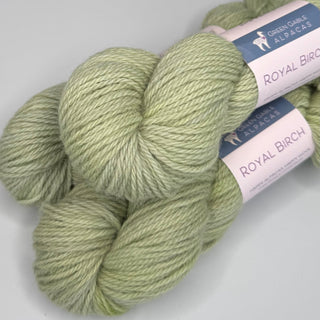 Royal Birch | Worsted Weight Yarn | Pale Leaf - Green Gable Alpacas