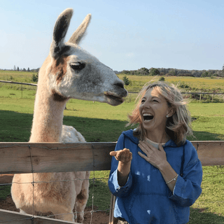 Tales of the Twist - Alpacas from Farm to Yarn - Green Gable Alpacas