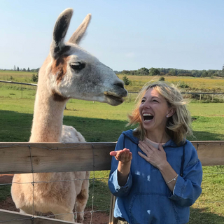 a woman happily feeding a llama